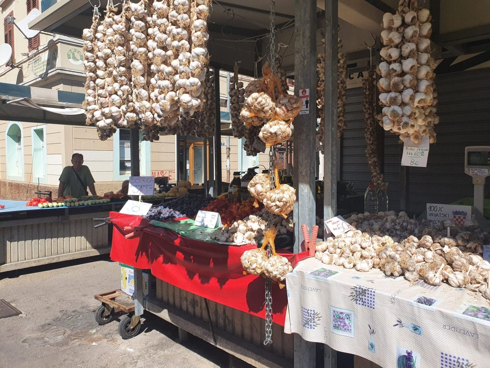 Garlic