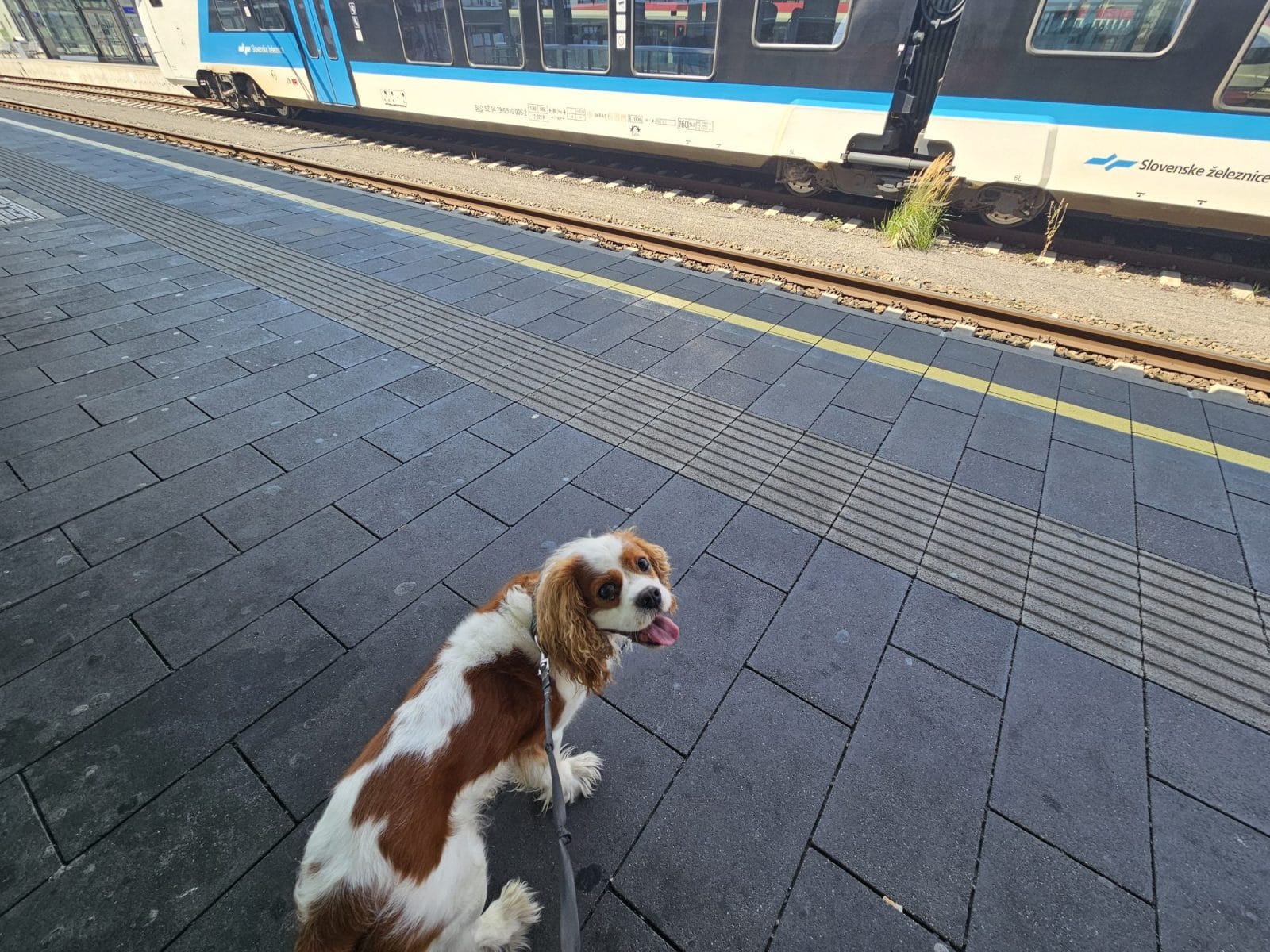 Graz Train Station