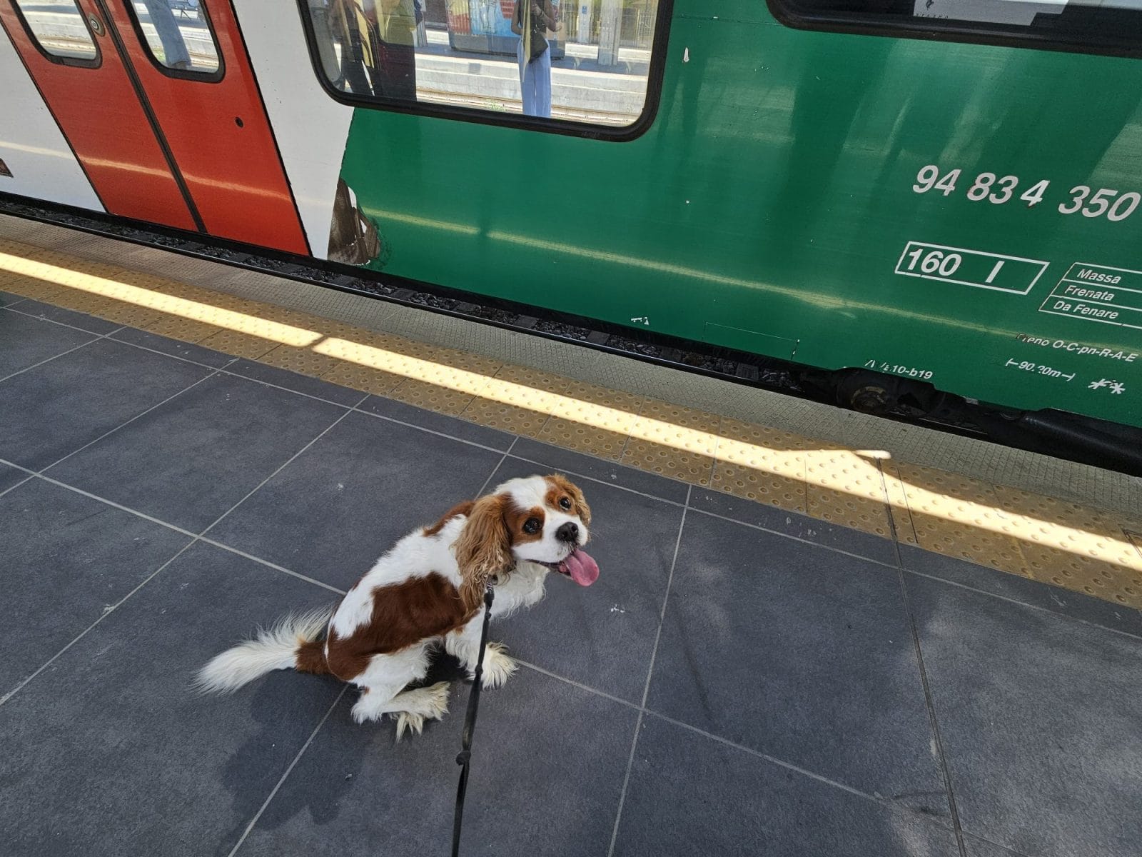 Local Trains