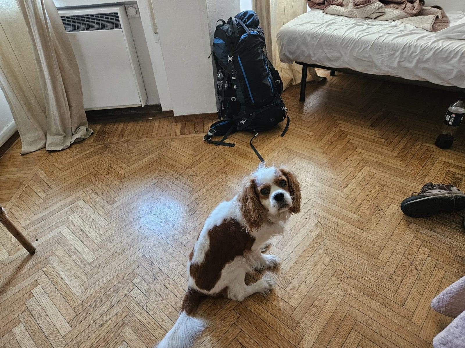 MyRoom Bologna