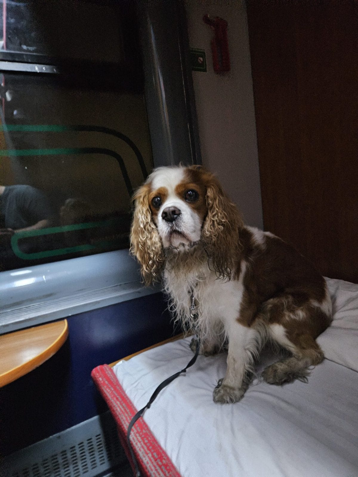 Night Train