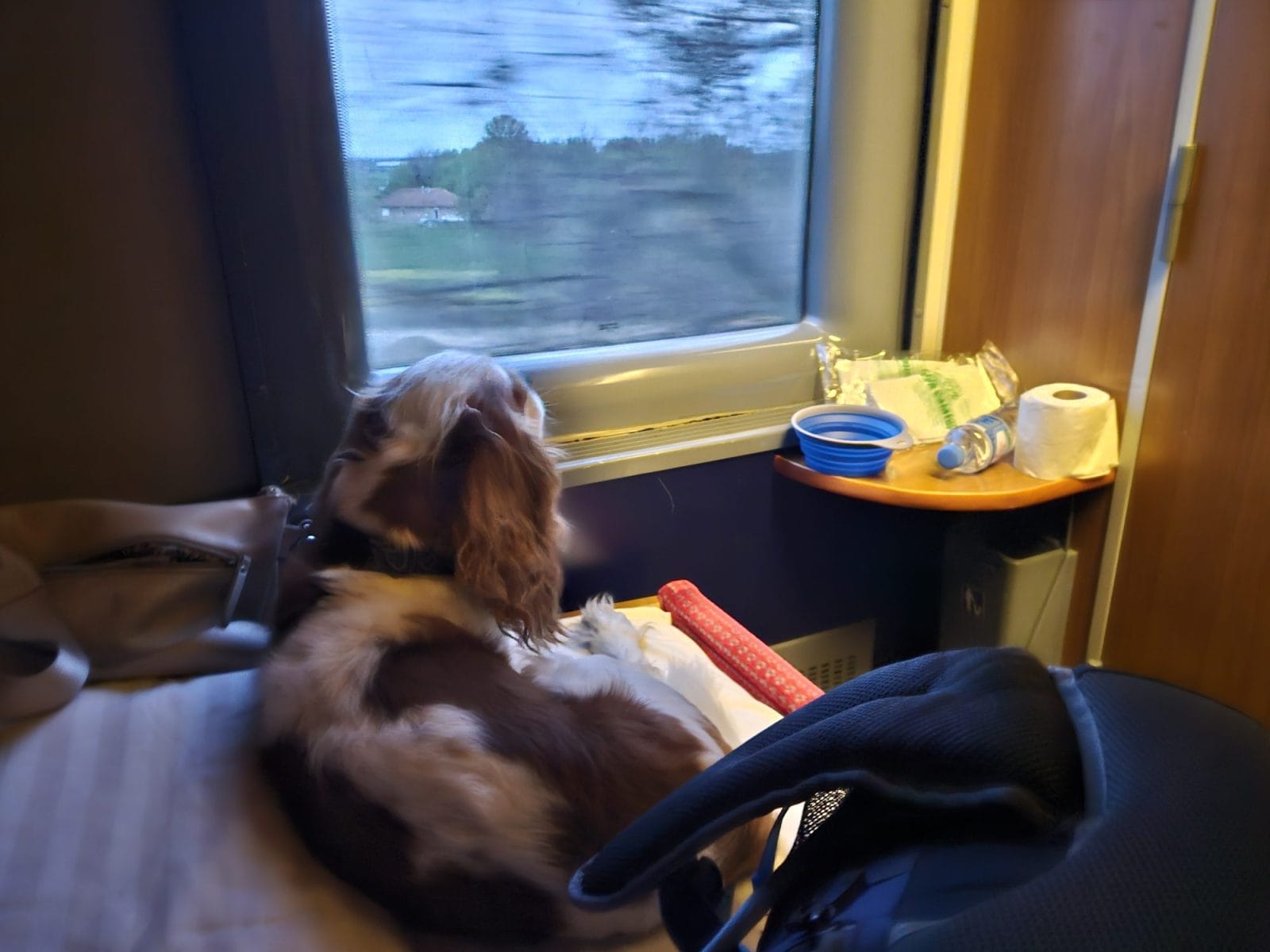 Night Train to Romania