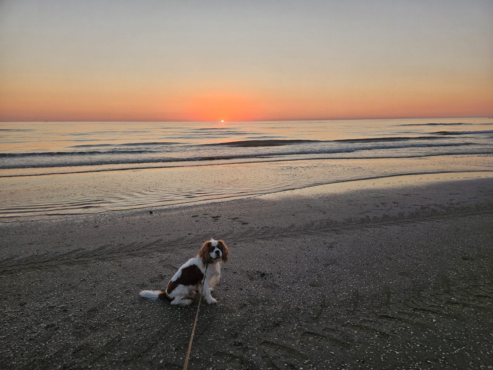 Rimini Beach