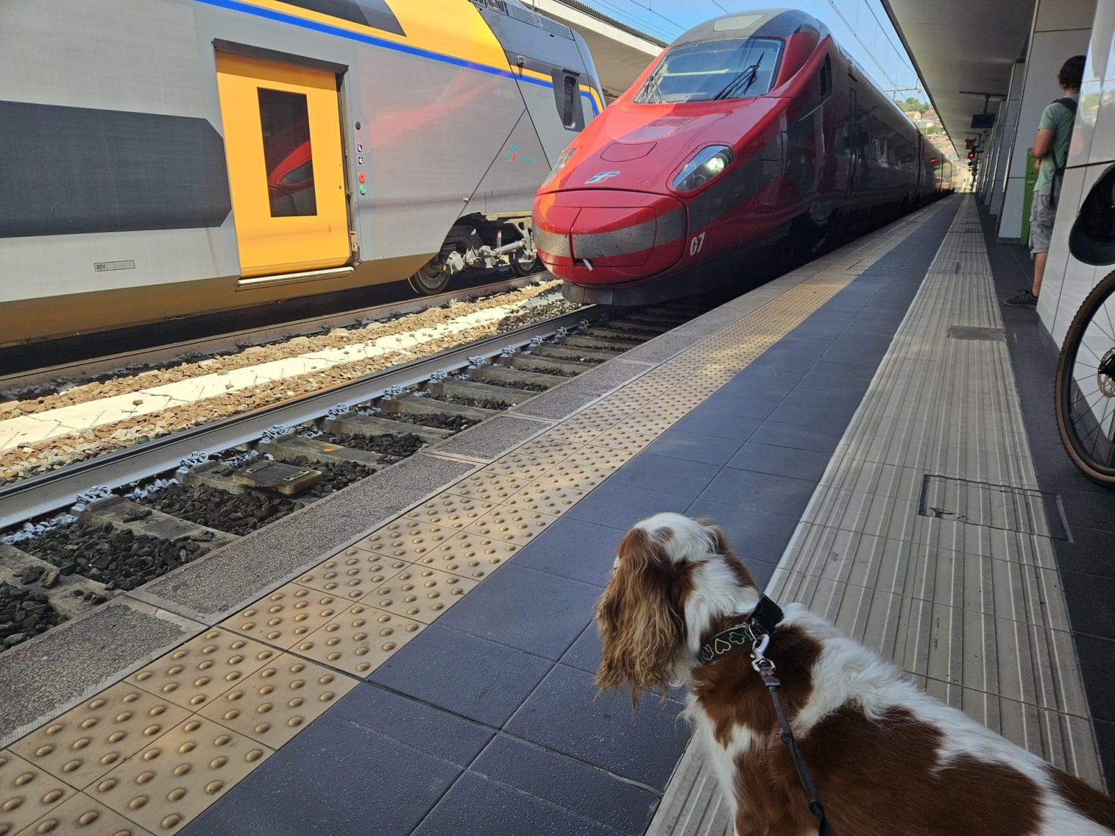 Train to Rimini