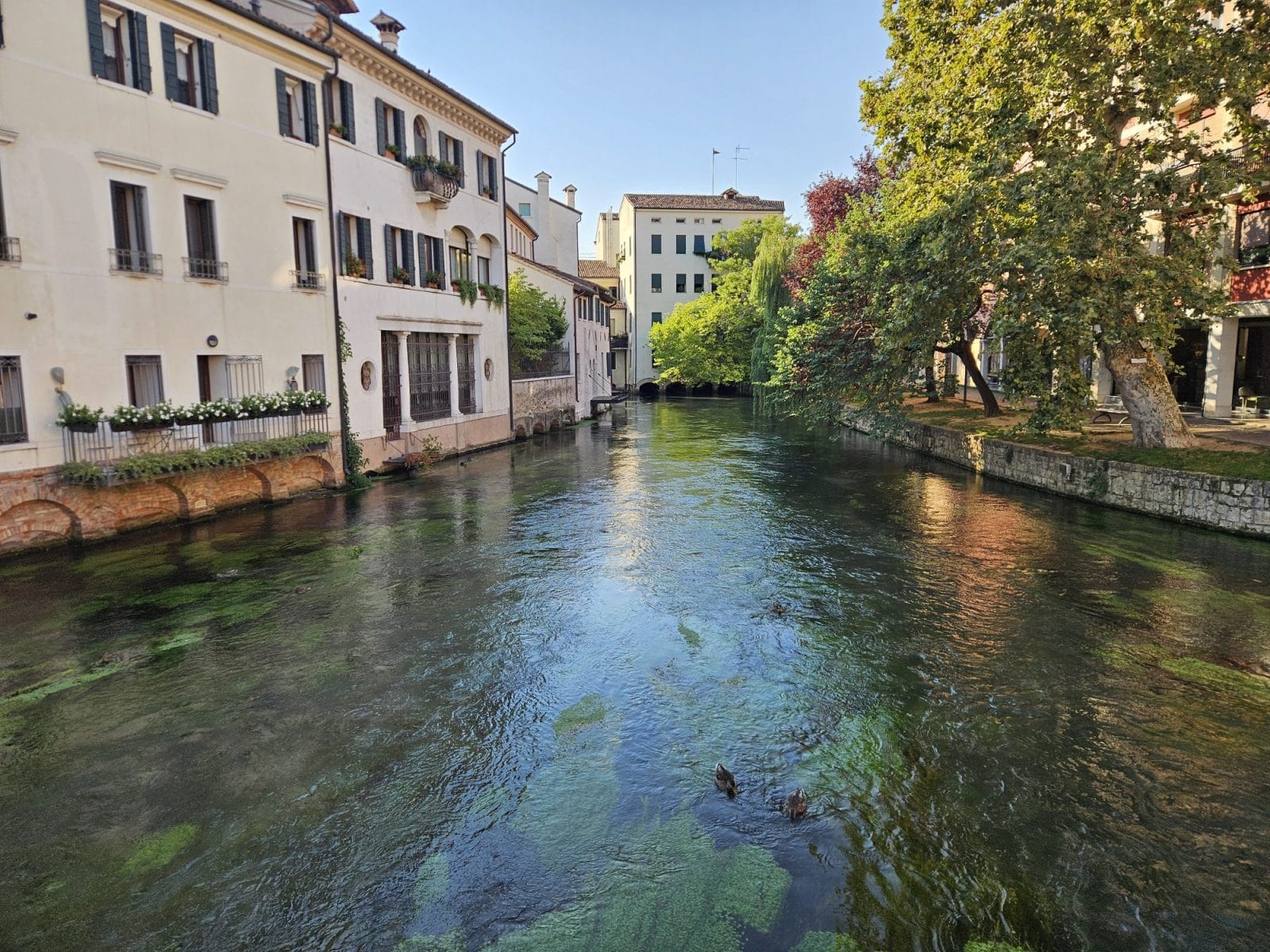 Treviso Canal
