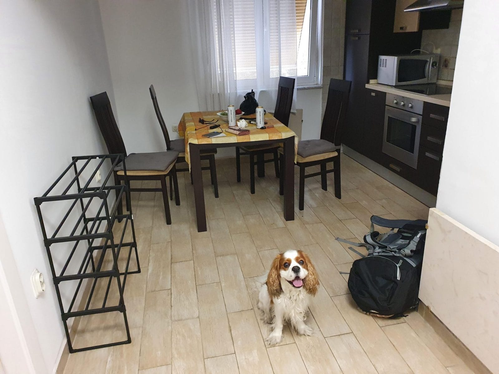 Airbnb Rijeka Dog Friendly