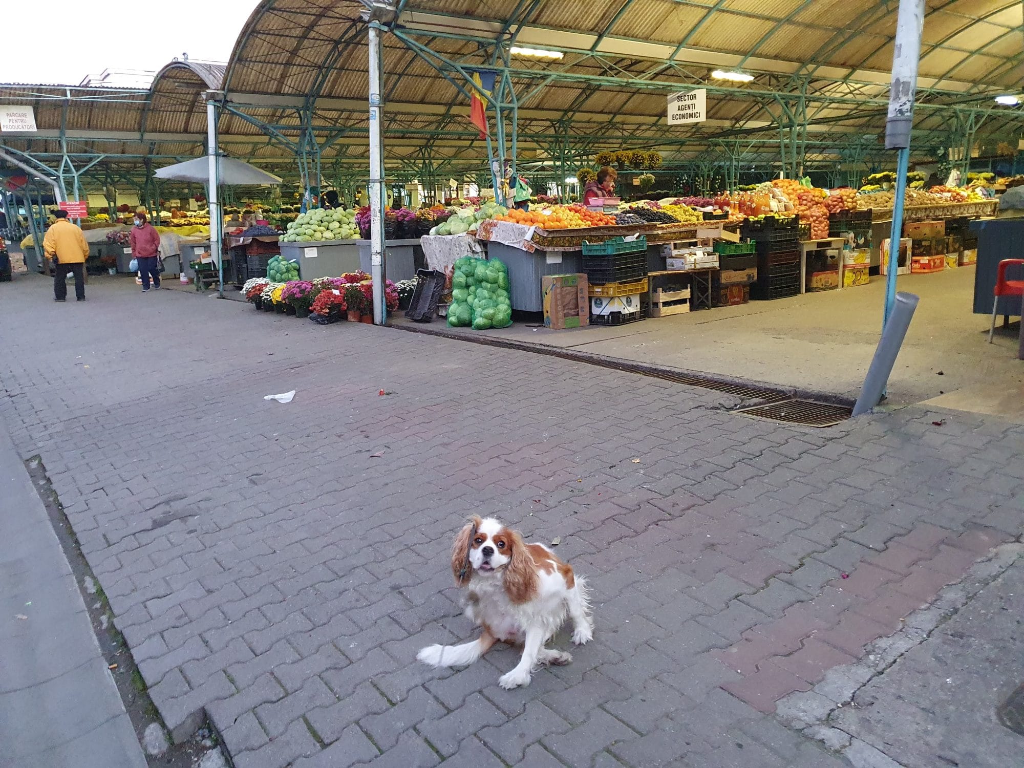 Cluj Outdoor Market