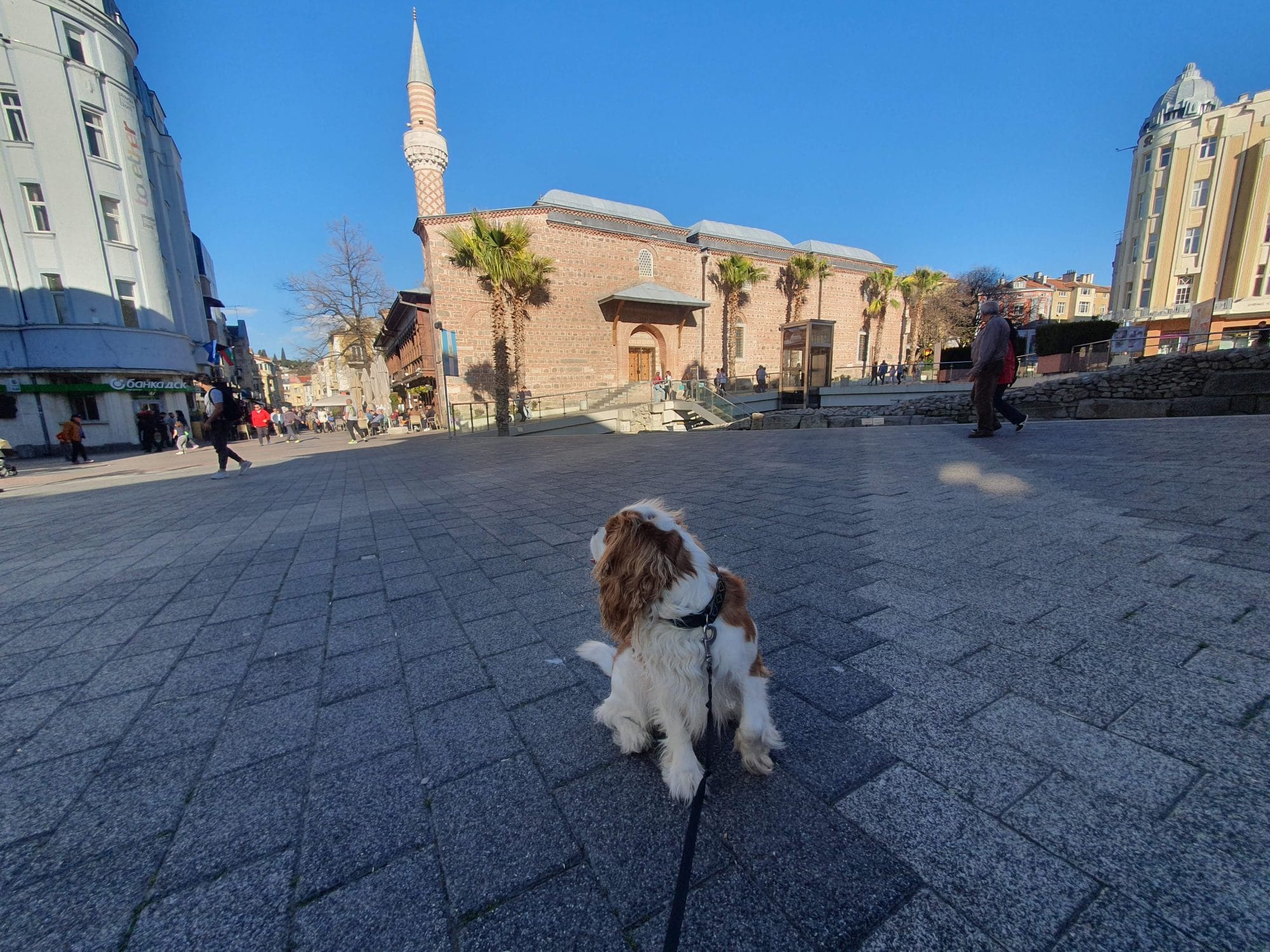 Dog Mosque Plovdiv